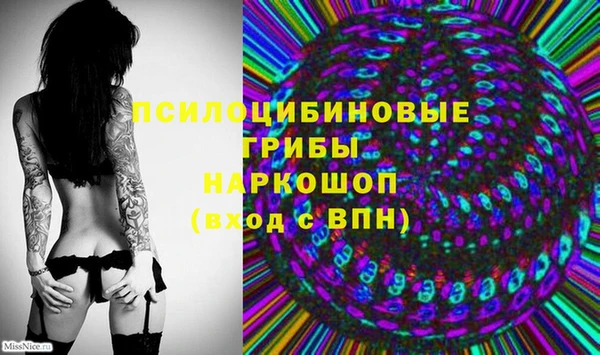 твердый Вязьма