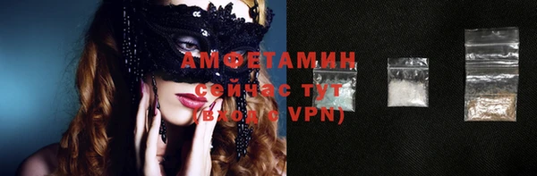 прущие грибы Вязники