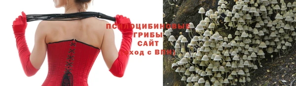твердый Вязьма