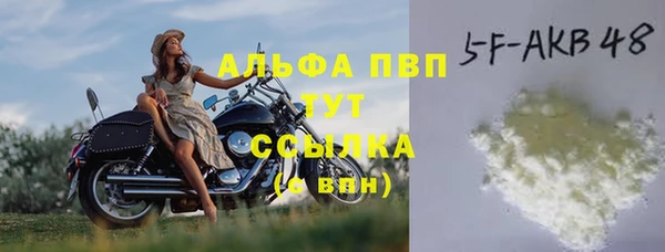прущие грибы Вязники