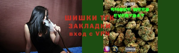 прущие грибы Вязники