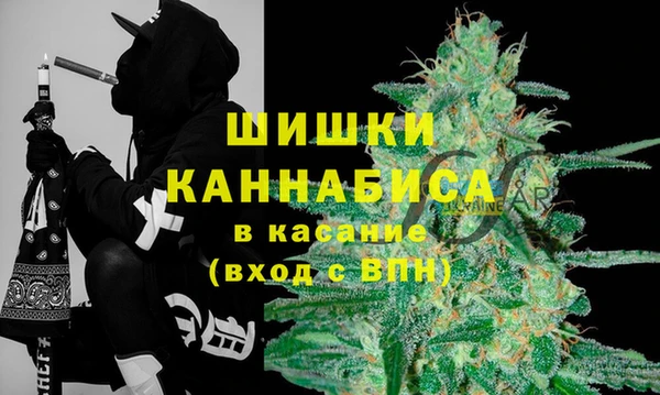 2c-b Вяземский