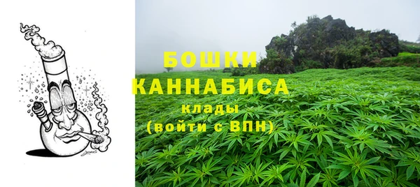 прущие грибы Вязники