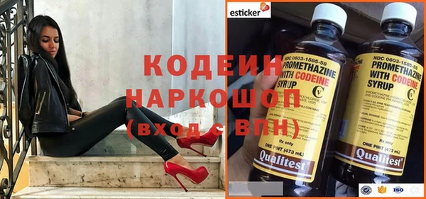 прущие грибы Вязники