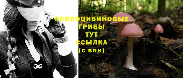 2c-b Вяземский