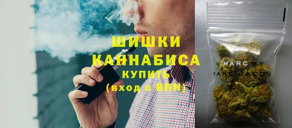 прущие грибы Вязники